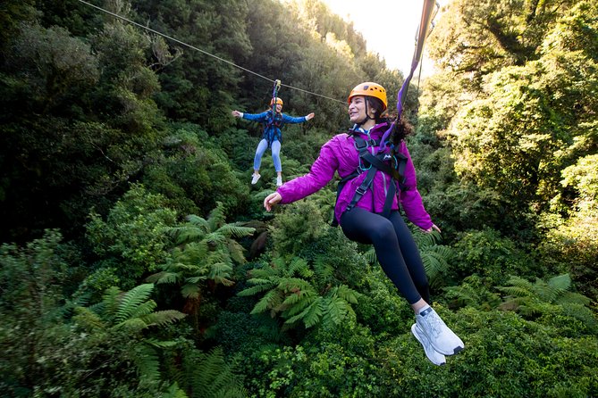 Rotorua’s Ultimate Zipline: 6 ziplines, 400 m Tandem, Cliff Walk - Your Forest Setting: 1,000-Year-Old Trees and Rare Bird Country