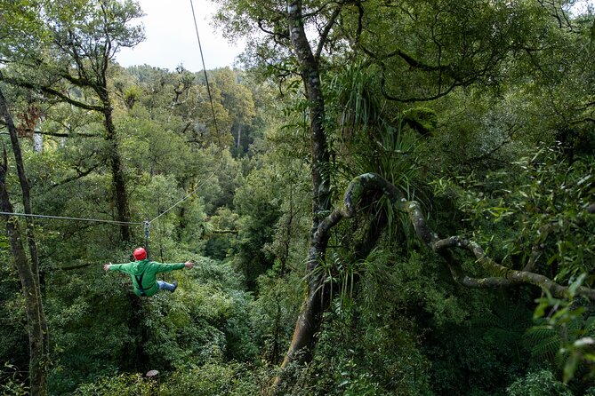 Rotorua’s Ultimate Zipline: 6 ziplines, 400 m Tandem, Cliff Walk - Free Digital Photos: A Small Detail That Turns Into Big Value