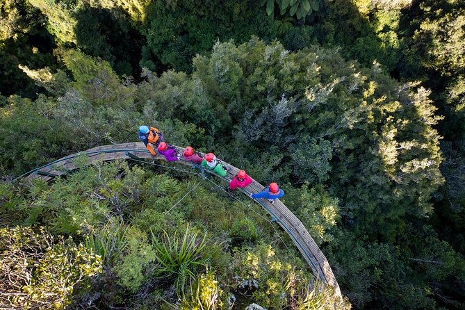 Rotorua’s Ultimate Zipline: 6 ziplines, 400 m Tandem, Cliff Walk - What to Wear and Bring for Rotorua Weather and Stairs