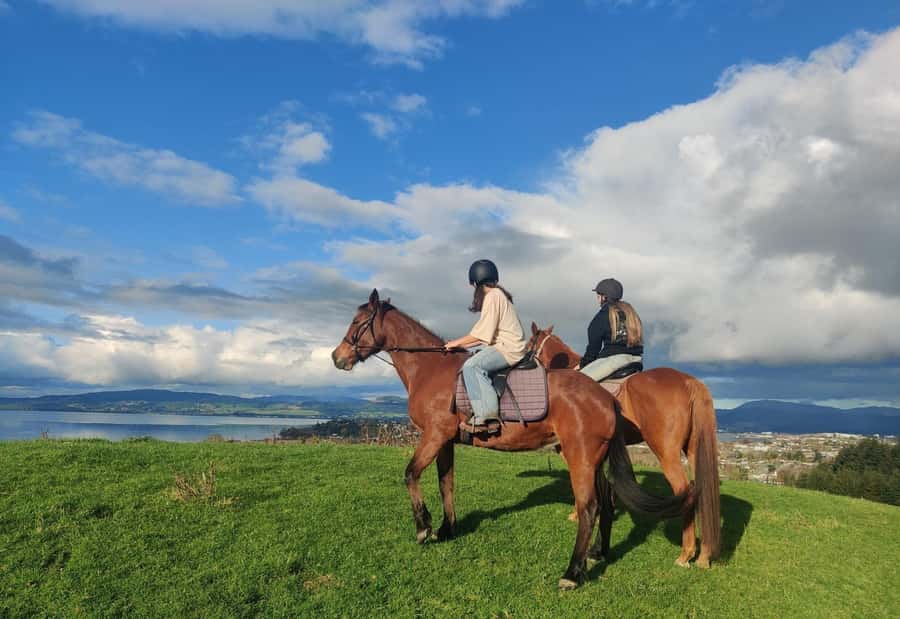 Rotorua: Scenic Horse Trek - Key highlights worth showing up for