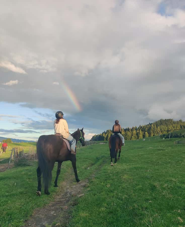 Rotorua: Scenic Horse Trek - Getting Started at Adventure Playground, then Into the Saddle