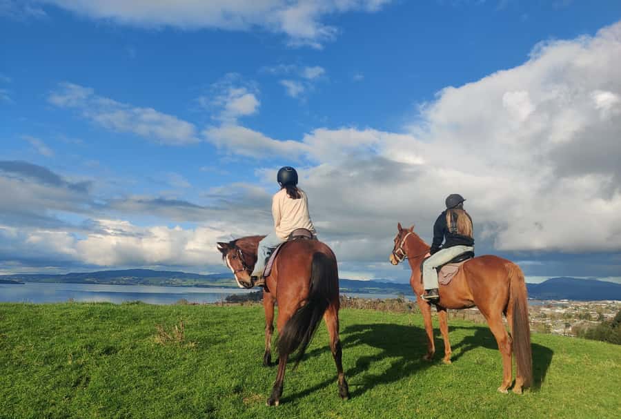 Rotorua: Scenic Horse Trek - The 1-Hour Trek Through Rotorua’s Farmland and Mt Ngongotaha Foothills