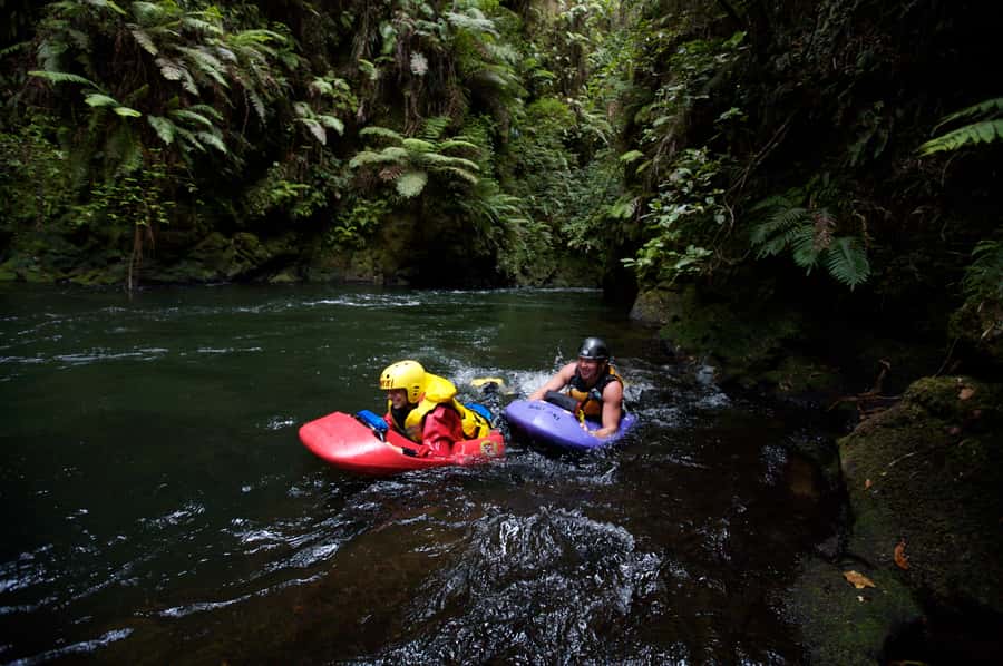 Rotorua Sledging: Kaituna White Water River Board Experience - What You Actually Do on the Kaituna River Board