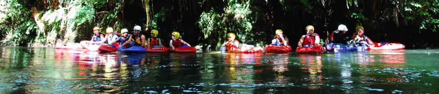 Rotorua Sledging: Kaituna White Water River Board Experience - On the Water: How the Sledge Ride Feels in Real Time