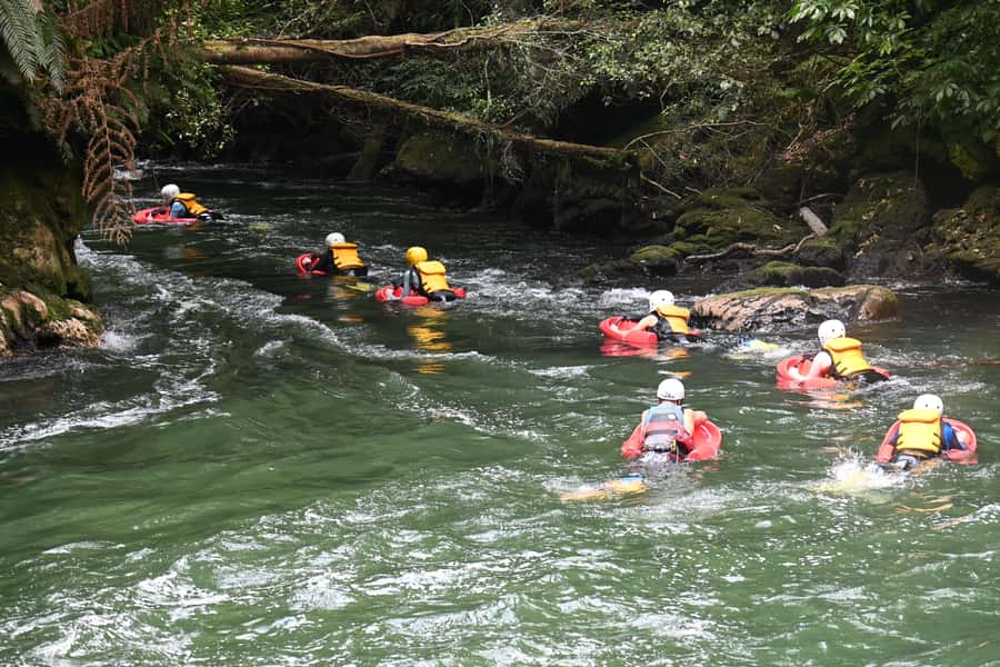 Rotorua Sledging: Kaituna White Water River Board Experience - Practical Packing: What to Bring for a Smooth Day