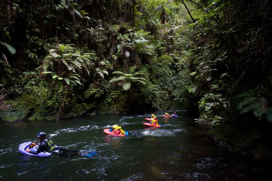 Rotorua Sledging: Kaituna White Water River Board Experience - Rotorua Pickup and the Real Timing (Including the Photo Stop)