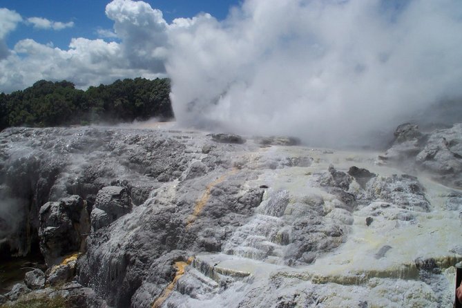 Rotorua Small-Group Day Tour from Auckland - Key things to know before you go