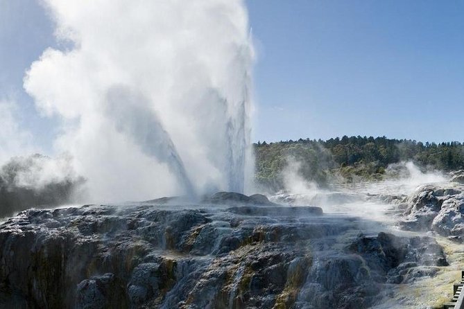Rotorua Small-Group Day Tour from Auckland - Auckland pickup, the long drive, and your small-group comfort