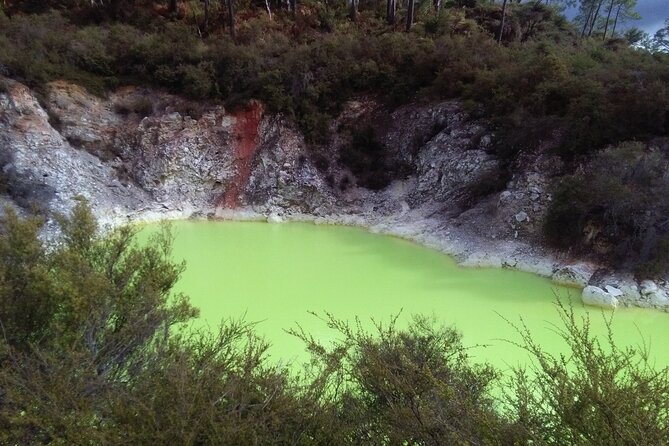 Rotorua Small-Group Day Tour from Auckland - Group size, van changes, and staying on top of the schedule