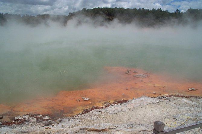 Rotorua Small-Group Day Tour from Auckland - Te Puia Māori Arts and Crafts Institute: what you are really paying for