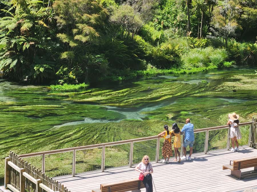 Rotorua & Taupo DayTour Waiotapu & Huka Falls from Auckland - Lake Taupo in 90 Minutes: Scenic Break Plus Real Local Context