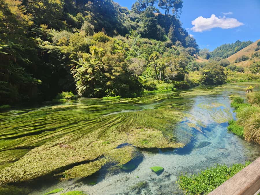 Rotorua & Taupo DayTour Waiotapu & Huka Falls from Auckland - Why the Guides Matter More Than the Checklist