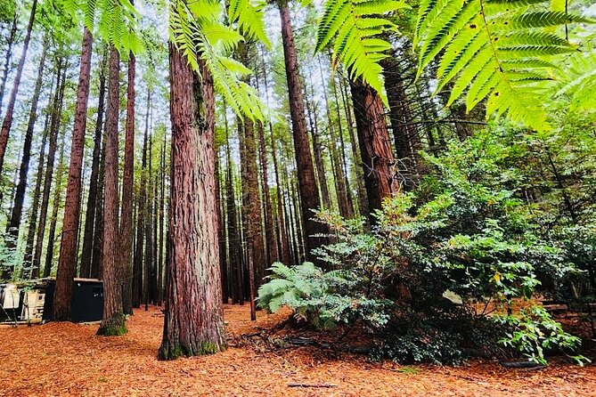 Rotorua & Taupo DayTour with Waiotapu & Huka Falls from Auckland - A 6am start to hit Waiotapu and Huka Falls in one day