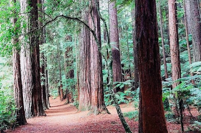 Rotorua & Taupo DayTour with Waiotapu & Huka Falls from Auckland - Price and value for a Waiotapu plus Huka plus Taupo day sweep