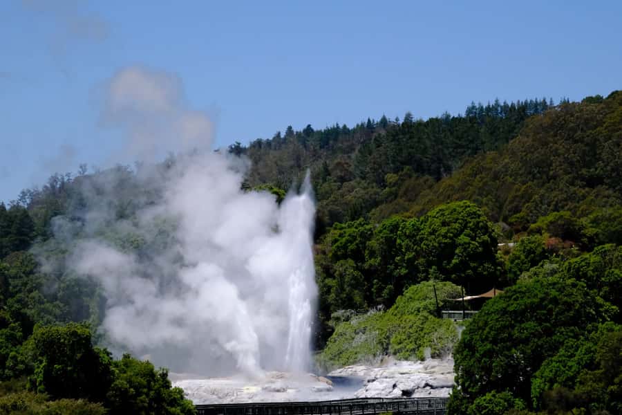 Rotorua: Te Puia Maori Village and Rejuvenation Tour - Quick reasons to book