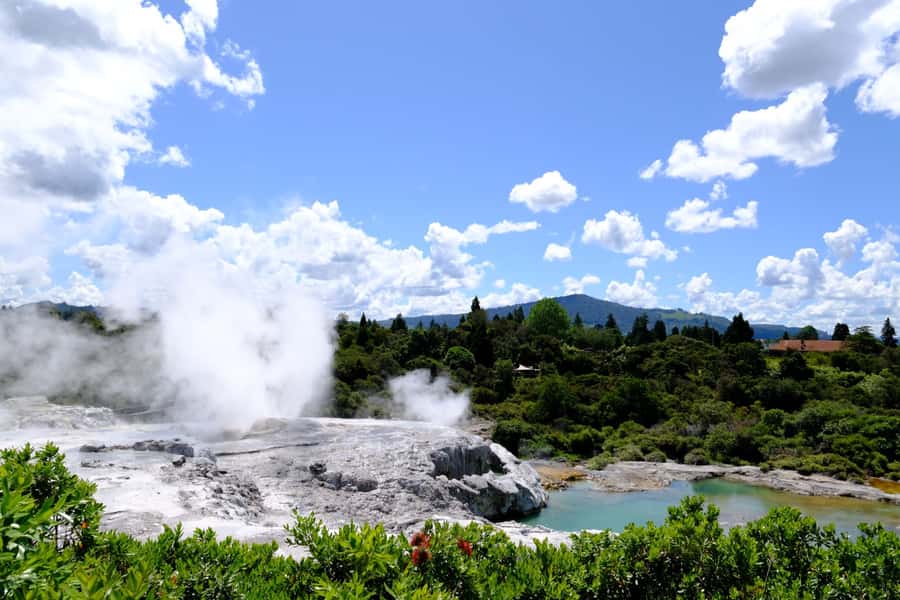 Rotorua: Te Puia Maori Village and Rejuvenation Tour - How the 8 hours usually plays out on a shore day