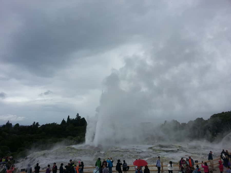 Rotorua: Te Puia Maori Village and Rejuvenation Tour - Who this Rotorua VIP day suits best