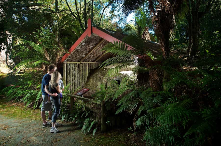 Rotorua: The Buried Village of Te Wairoa - Key Highlights to Know Before You Go