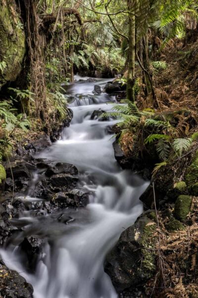 The Buried Village of Te Wairoa