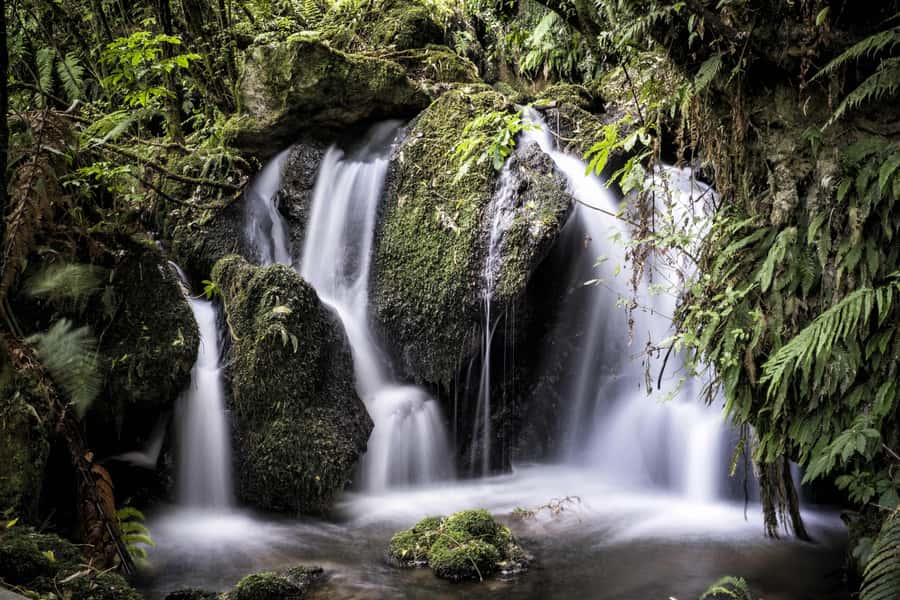 Rotorua: The Buried Village of Te Wairoa - Te Wairoa Falls Trail: Steep Steps, Best Mist, and a Real Sense of Recovery