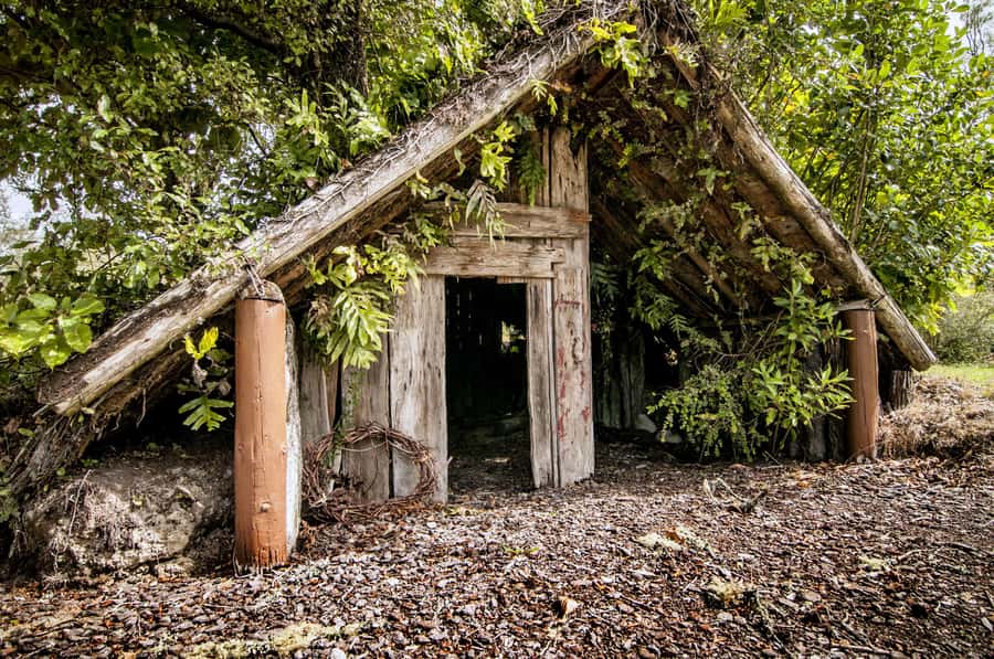 Rotorua: The Buried Village of Te Wairoa - Should You Book the Buried Village of Te Wairoa?