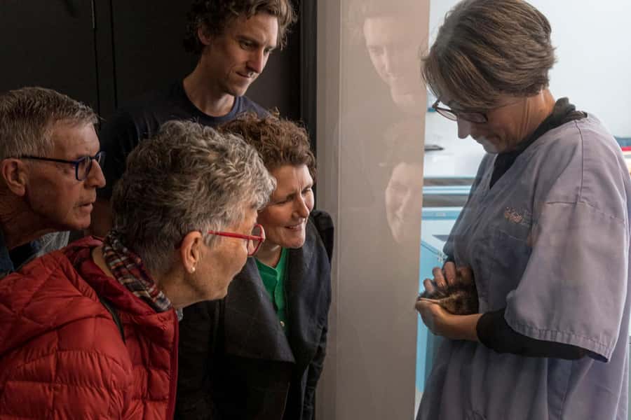 Rotorua: The National Kiwi Hatchery Kiwi Encounter Tour - Egg room and incubation during Sep to Mar: the science part you will enjoy