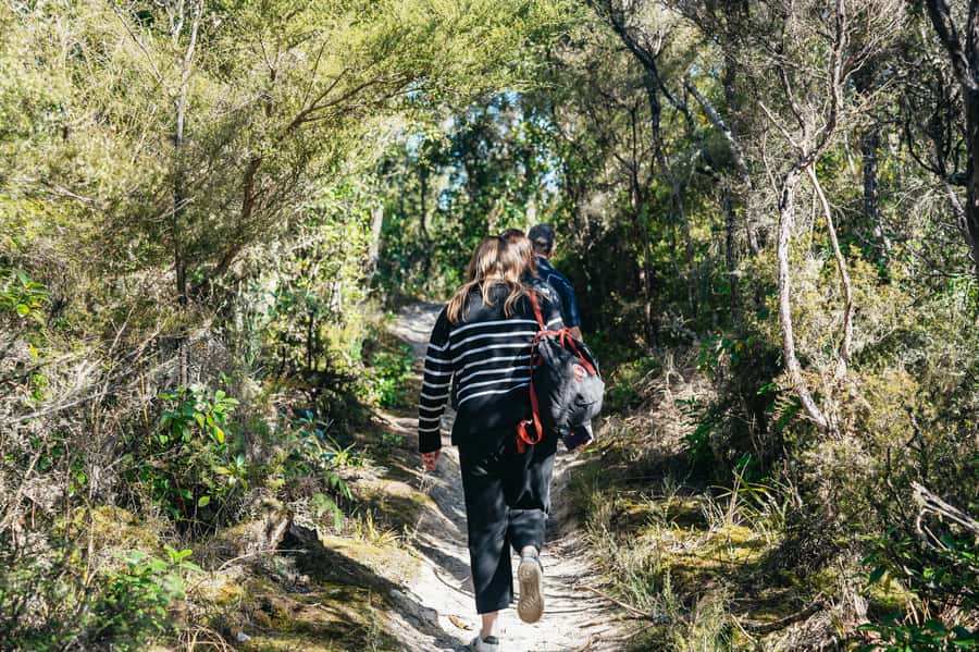 Rotorua: 'Thermal Path Tour' Geothermal half day Tour - Price and What You Really Get for $89