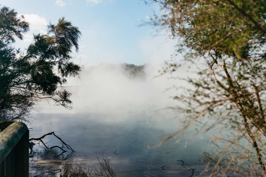 Rotorua: 'Thermal Path Tour' Geothermal half day Tour - Te Manaroa Spring: Rotorua’s Largest Hot Water Spring