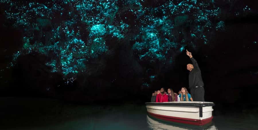 Rotorua to Auckland - Afternoon Transfer with Waitomo Caves - Rotorua to Auckland, with Waitomo as the main stop