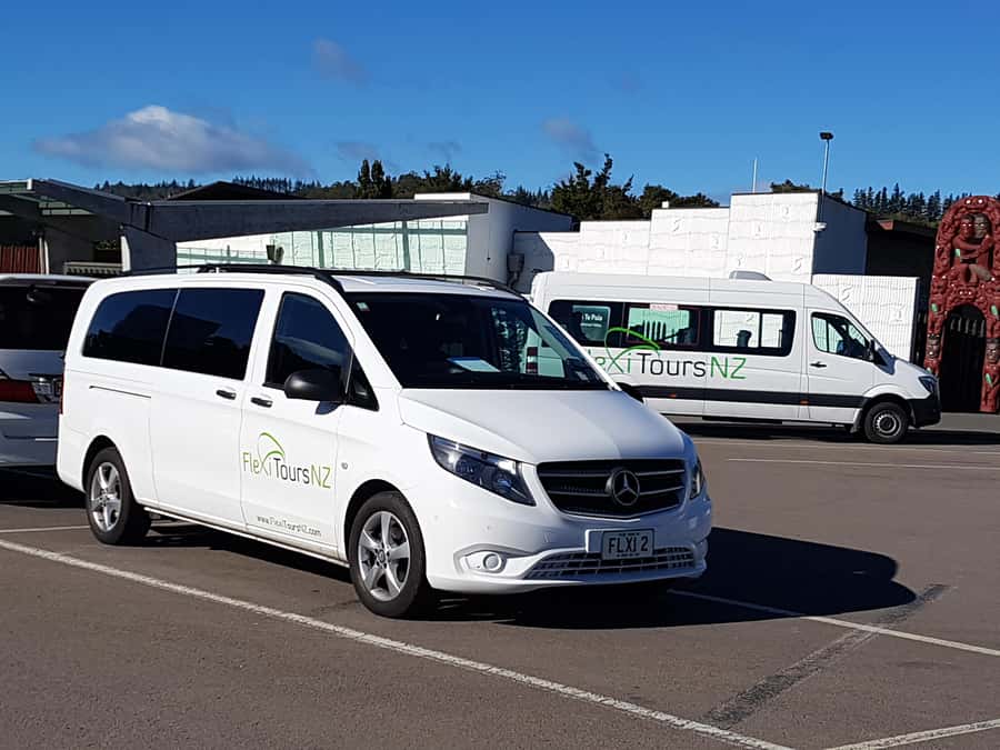 Rotorua to Auckland - Afternoon Transfer with Waitomo Caves - Waitomo Caves afternoon tour: boat ride and guided glowworm time
