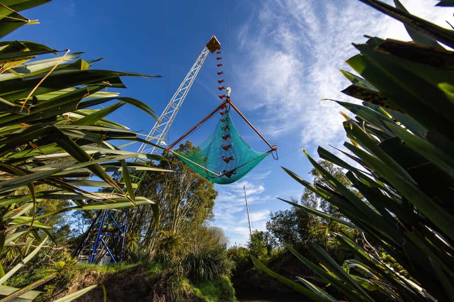 Rotorua: Velocity Valley - NEW Vertigo 43m drop - What Those 4 Seconds Mean at 43 Metres