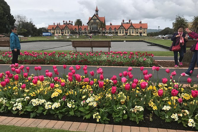 Rotorua via Kiwi/lakes country & a visit to iconic Whakarewarewa - Whakarewarewa: Pohutu Geyser, steaming hot springs, and a Māori show you’ll remember