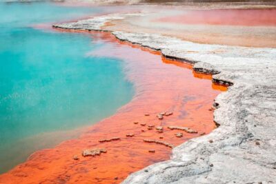 Wai-O-Tapu Geothermal Park Entry Ticket