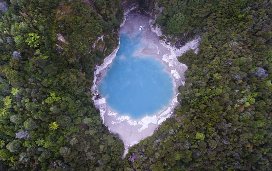 Rotorua: Waimangu Volcanic Valley Entry Ticket - Echo Crater and Inferno Crater Lake: The Color You Came For