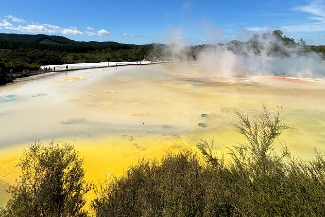 Rotorua: WaiOtapu & Redwood forest & Blues springs from Auckland - Auckland to Rotorua: the early start and what to plan for