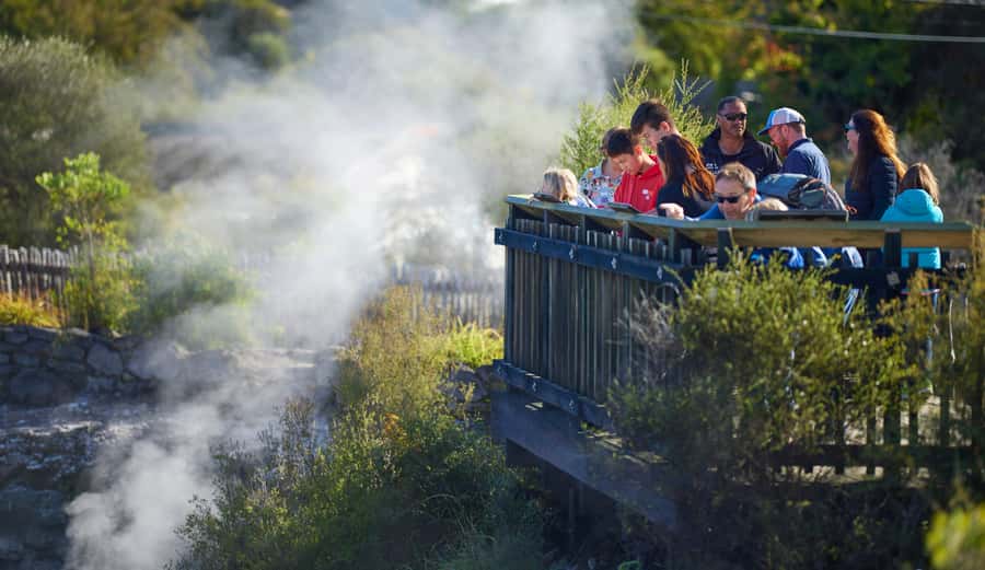 Rotorua: Whakarewarewa Village Guided Tour - The sweet bonus: corn on the cob cooked in mineral heat
