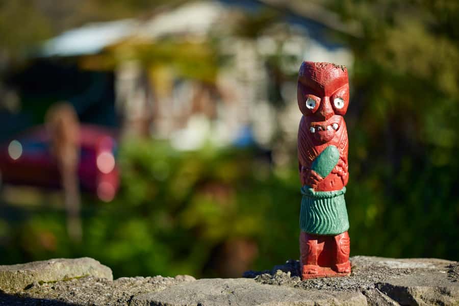 Rotorua: Whakarewarewa Village Guided Tour - Your one hour: what happens between Geyser Café and the geothermal valley