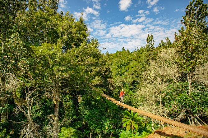 Rotorua Ziplines - Okere Falls Experience - What you do in the trees, cables, swing bridges, and waterfall views