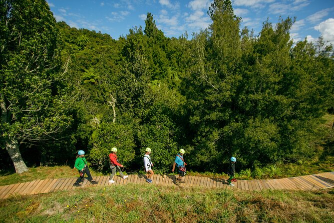 Rotorua Ziplines - Okere Falls Experience - Price and value, is $104.88 worth it