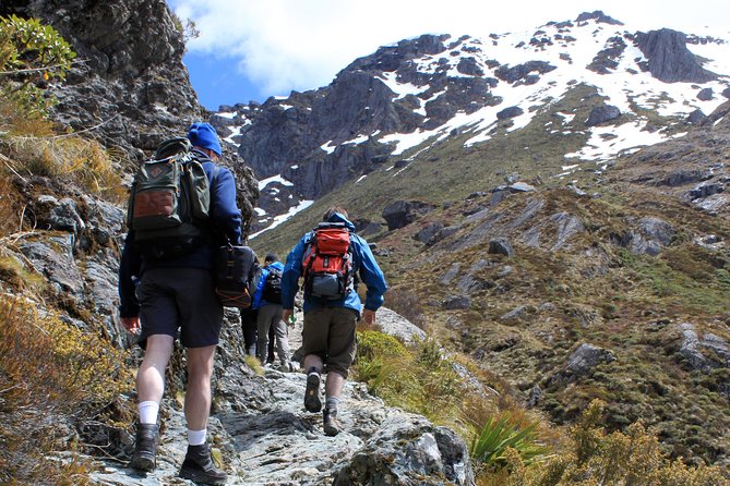 Routeburn Track Guided Hike (Full Day) - Routeburn Track Day Hike: why this UNESCO trail works