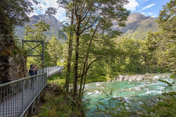 Routeburn Track Guided Hike (Full Day) - Into Mt Aspiring: forest beech, podocarps, and 59 bird species to watch