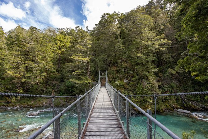 Routeburn Track Guided Hike (Full Day) - The guide makes or breaks the day: Lucas, Angelo, Fiona, and Paul in the details