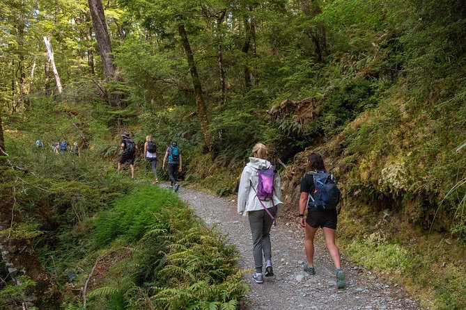 Routeburn Track Guided Walk (Half-Day) - Stop at Lake Wakatipu, Classic Views Before the Trail