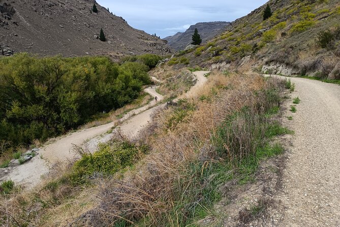 Roxburgh Gorge Bike Hire with Jet Boat & Return Shuttle Included - Why Roxburgh Gorge feels like an Otago must-do