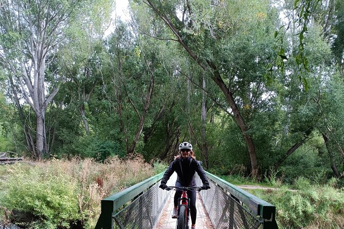Roxburgh Gorge Bike Hire with Jet Boat & Return Shuttle Included - The Alexandra link, plus how to picnic smart