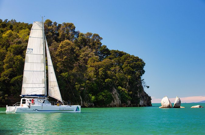 Sail, Seals, and Walk Tour in Abel Tasman - The Abel Tasman Coastal Track hike: why this is worth doing self-guided
