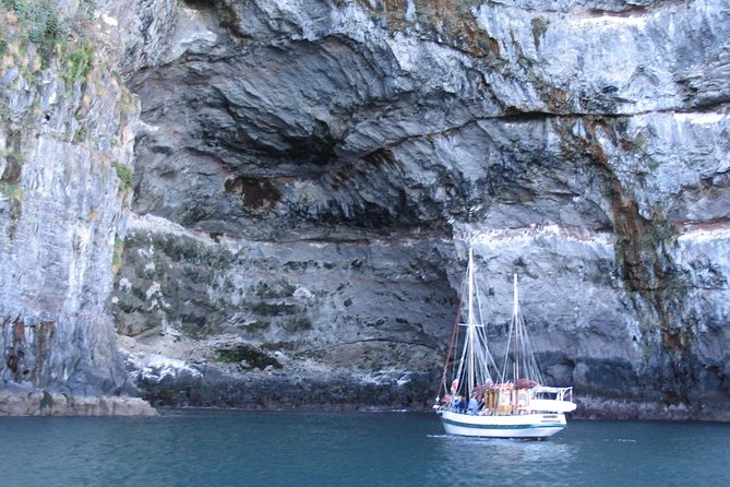 Sailing and Wildlife Tour Akaroa Fox II Sailing - From Daly’s Wharf to the Fox II Ketch: your start point matters