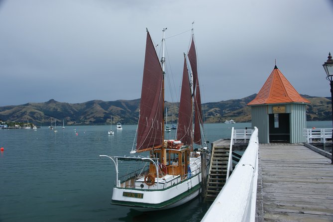 Sailing and Wildlife Tour Akaroa Fox II Sailing - The real itinerary rhythm: scenic stops plus flexible wildlife time