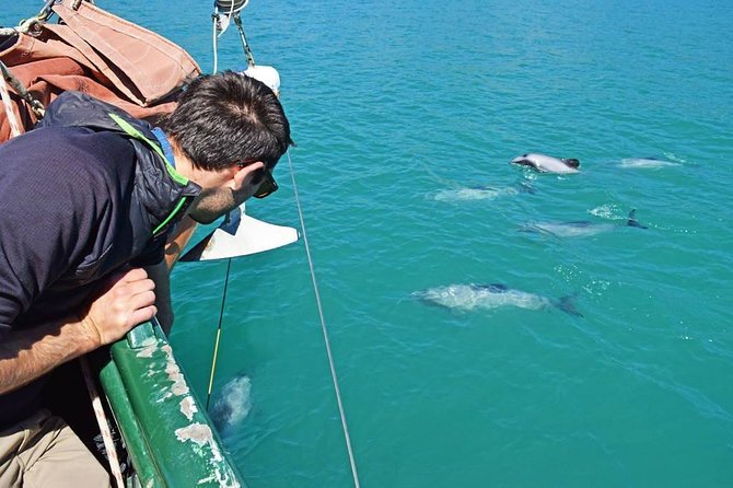 Sailing and Wildlife Tour Akaroa Fox II Sailing - Duration, group size, and what that means for your experience
