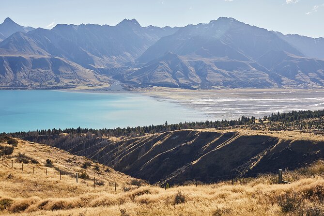 Scenic 4WD Tour Lake Tekapo Backcountry - Stop 3: Mackenzie District, sheep stations, and meeting the animals up close